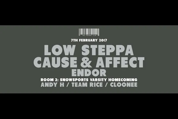 Flyer: LOW STEPPA, CAUSE & AFFECT, ENDOR, TTC DJS, ANDY H, TEAM RICE, CLOONEE