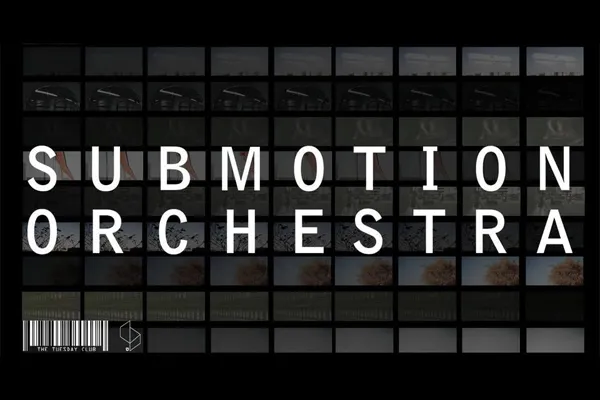 Submotion Orchestra Kites Tour, Contours (Rhythm Section)