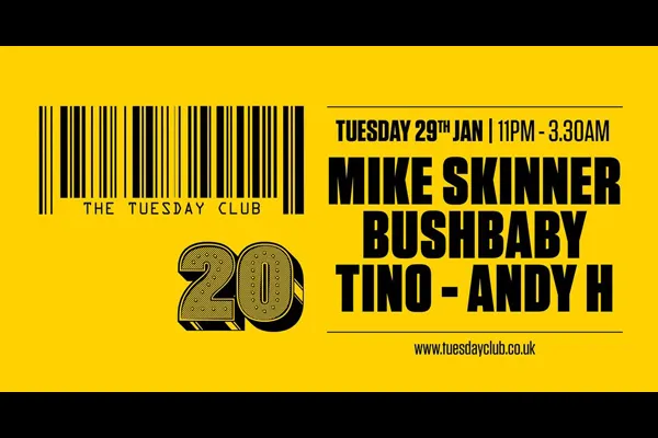 Mike Skinner, Bushbaby, Tino, Andy H